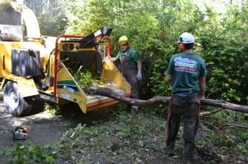 tree services Rosewood Heights